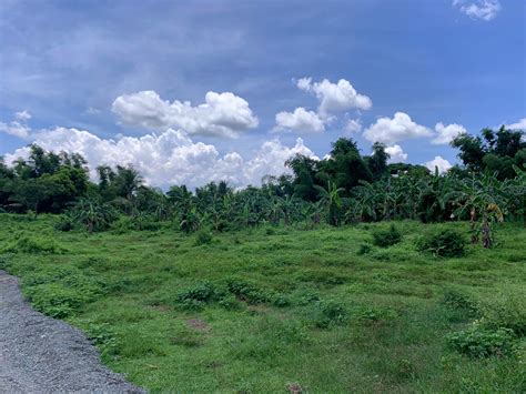 Bansud, Oriental Mindoro Lot only 10,295 sqm 2,000 per sqm Secondary road, 20 meters away from main high way 32 kms away from Jolibee Pinamalayan 92 Kms away from Calapan Pier Land property for sale in , Bansud, Oriental Mindoro. . Murang lupa sa quezon province